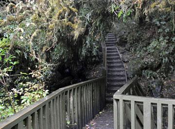 The stairs back up from the viewing platform