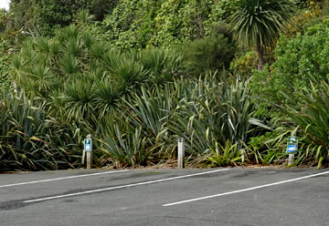 Campervan parking