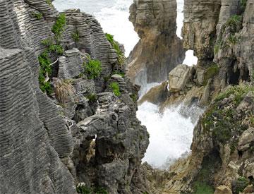 Pancake rocks on the coast