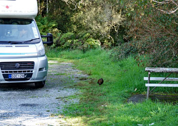 Parking in the reserve