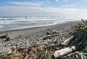 Pebble beach along the rugged west coast