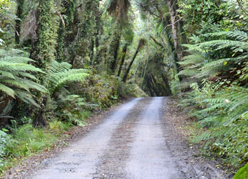 Driveway access to the campsite