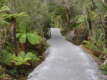 Near the start of the track to the glacier