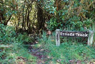 Broads Track is accessed from a rest area on SH6, roughly halfway between Westport and Inangahua. Freedom camping is allowed for self-contained motor caravanners. 