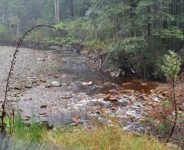 The river, or creek, where you can pan for gold