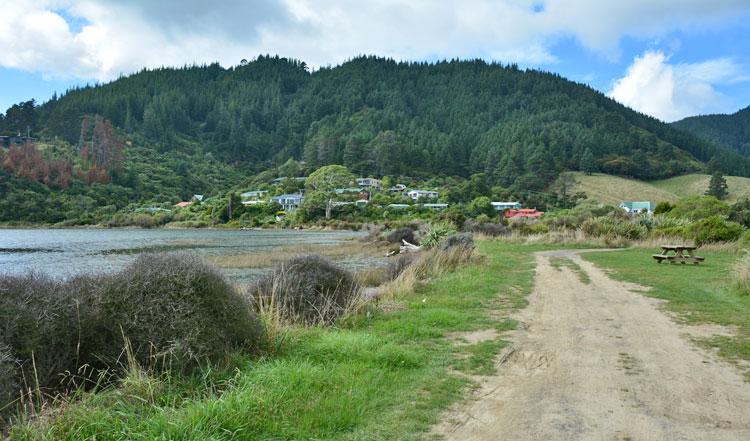 Whatamango Bay Campsite