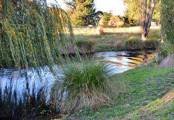 The creek running alongside the campsite