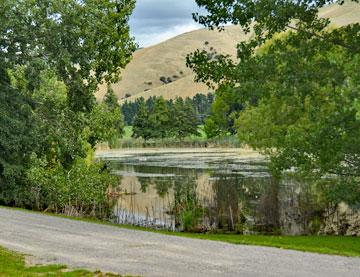 Lake alongside the dam