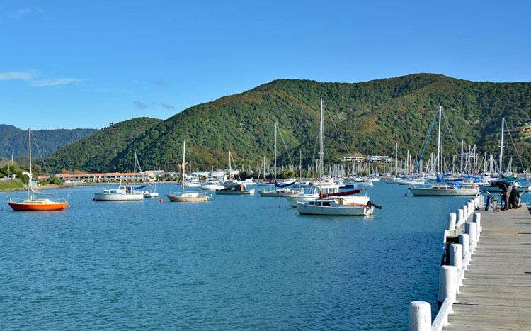 The harbour view from Waikawa Bay Reserve