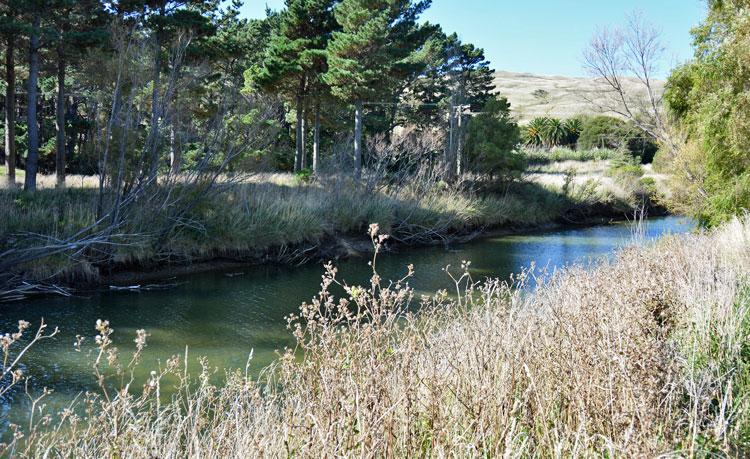 The Wainui river enclosing the campsite