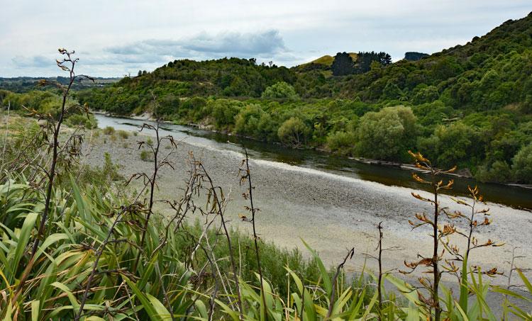 Walkway along the Manawatu river