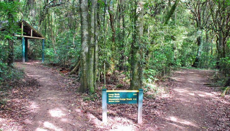 Entrance to the two walking tracks