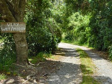 Gravel driveway