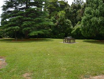 On grass parking and picnic table