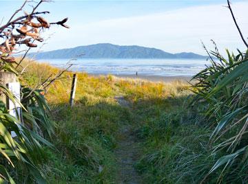 Path for accessing the beach