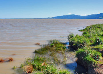 Lake Wairarapa