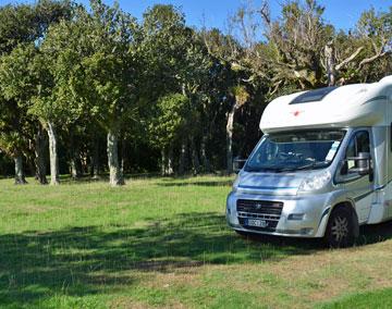 On grass parking