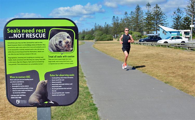 Running along the cycleway