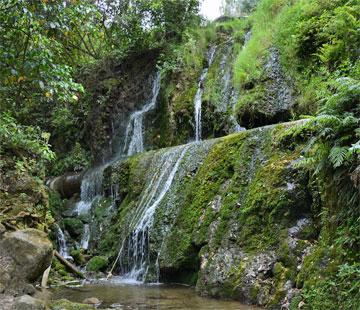 Secondary falls along the side of the river