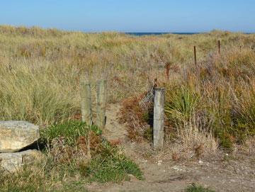 Access to the beach across the sand dunes