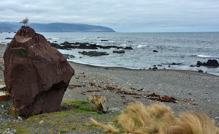 Beach front along the marine reserve