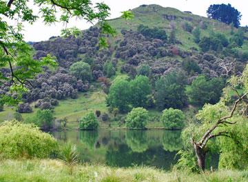 Reflections in the lake