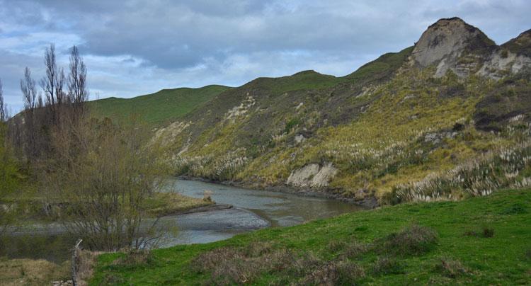 The Waikare River