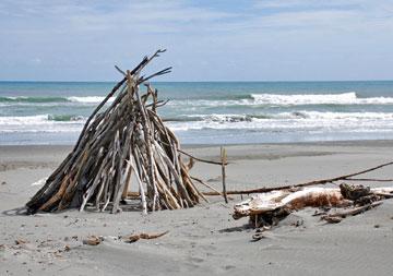 Waiotahi Beach