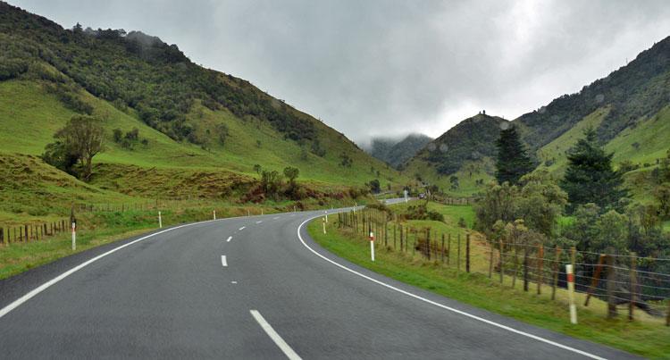 The beginning of the Waioeka Journey going north