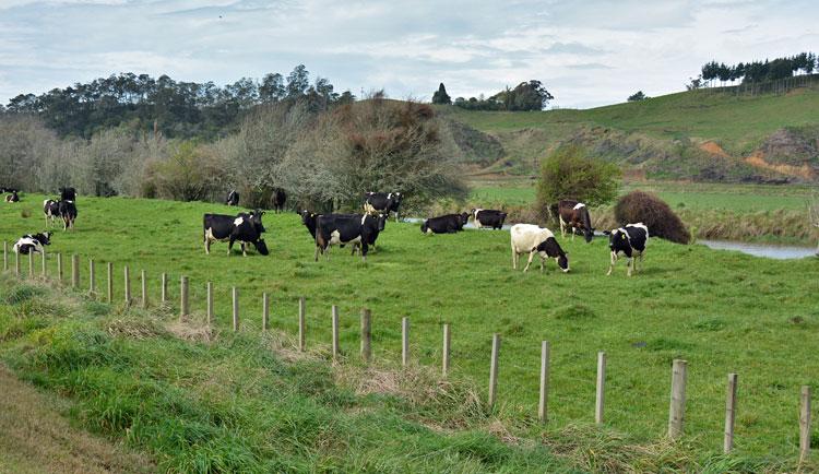 Farmland beside the PDS