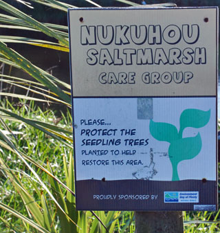 Nukuhou River Saltmarsh Care Group