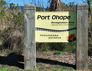 Port Ohope - Pohutukawa Paradise