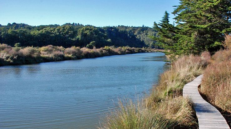 Nukuhou River on a beautifull sunny morning