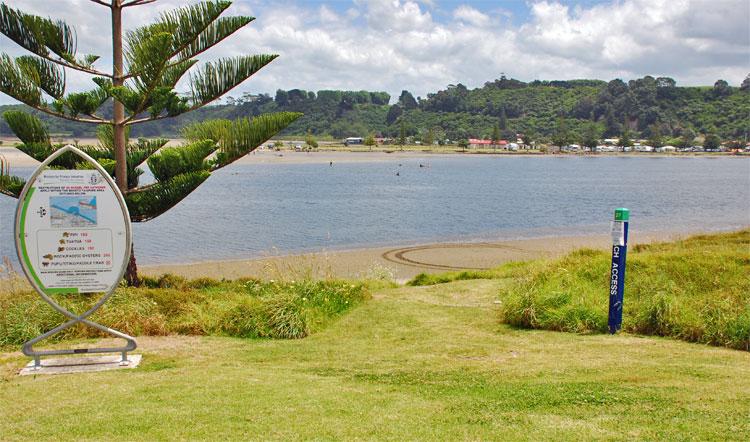 View over the Waihi Estuary