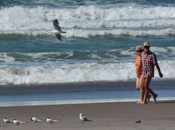 Papamoa beach