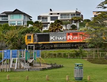 Kiwi Rail trains driving past the reserve.
