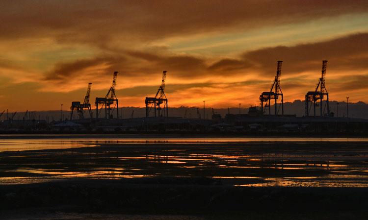 Sunrise over the harbour