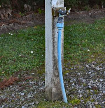 Fresh drinking water available