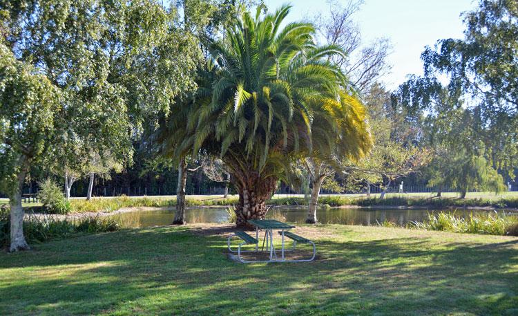 Picnic table by the lake