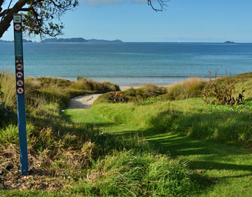 Access to the beach and council signs