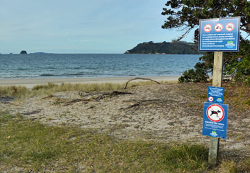 Freedom camping at the beach