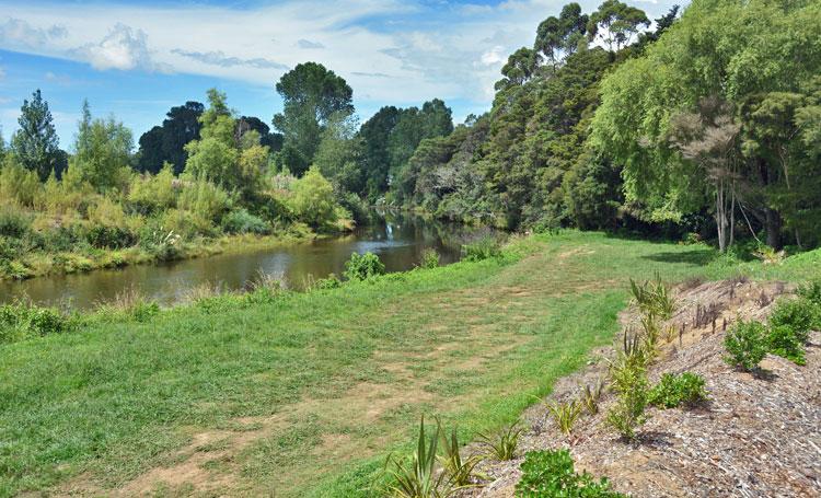 On-grass parking alongside the river bank