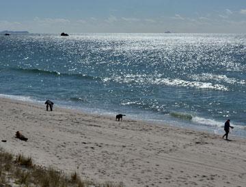 View over the beach