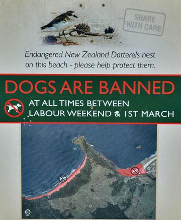 Dogs banned over summer