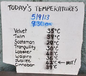 Temperature Chart