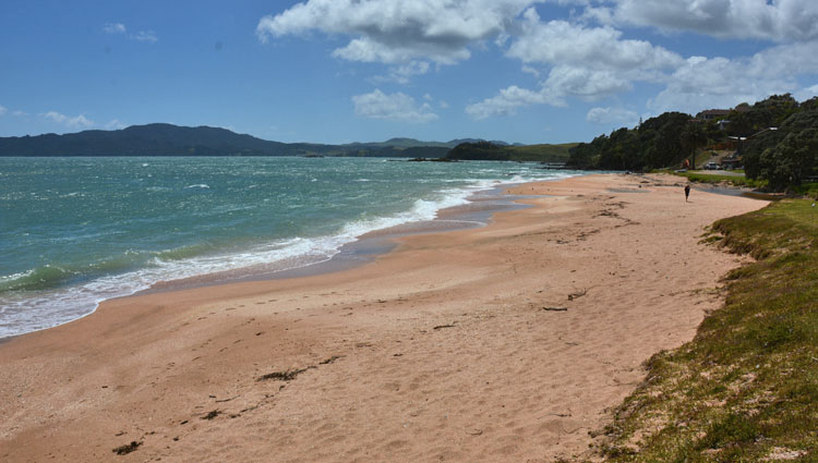 The beach at Cable Bay