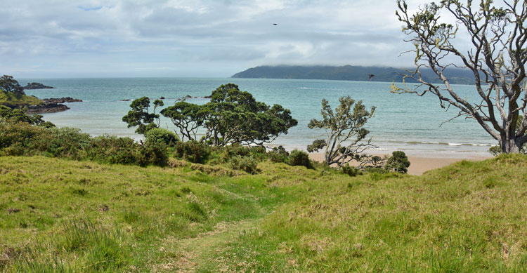 View over Doubtless Bay