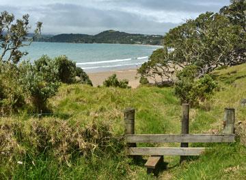 Access to the beach